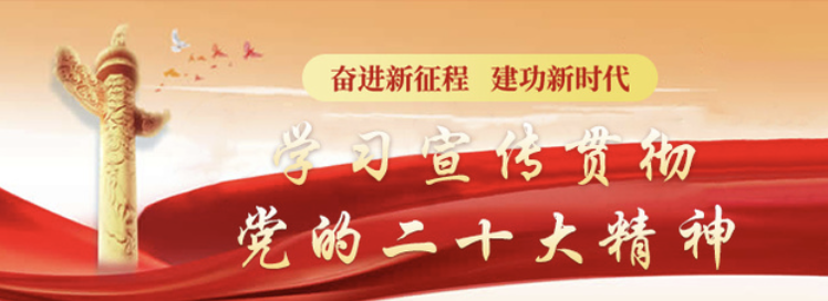 学习宣传贯彻党的二十大精神
